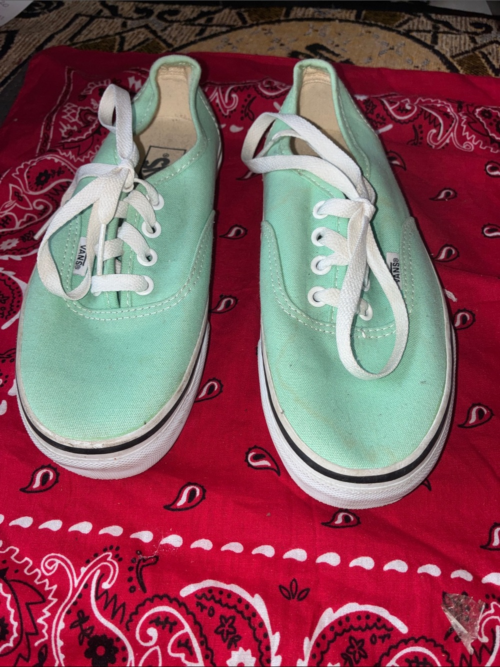 Vans Low Top Canvas Sneakers in Mint